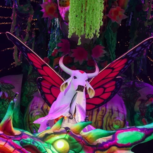 Parintins 2025: Acertos e erros Boi Garantido em sua primeira noite de Festival