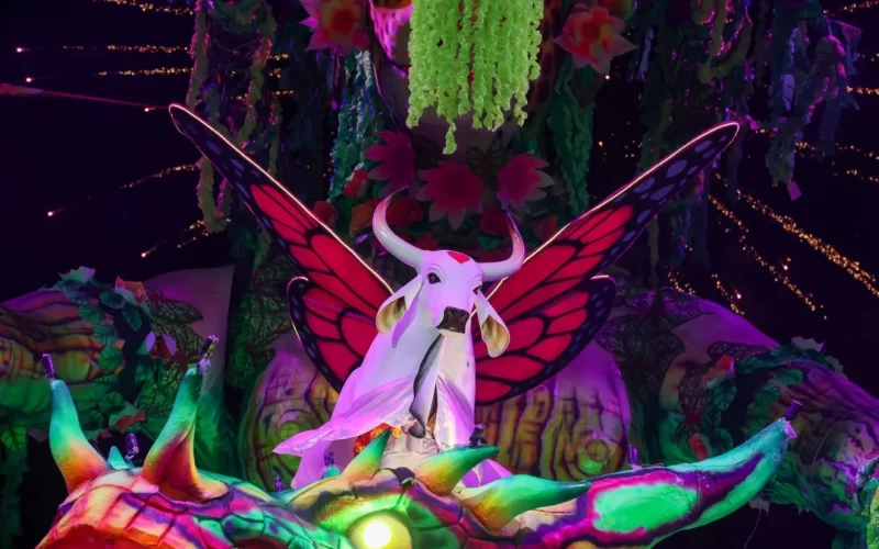 Parintins 2025: Acertos e erros Boi Garantido em sua primeira noite de Festival