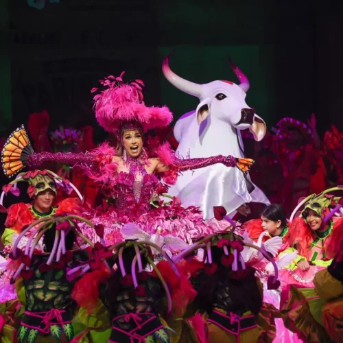 Conheça as possíveis substitutas como sinhazinha do Boi Garantido