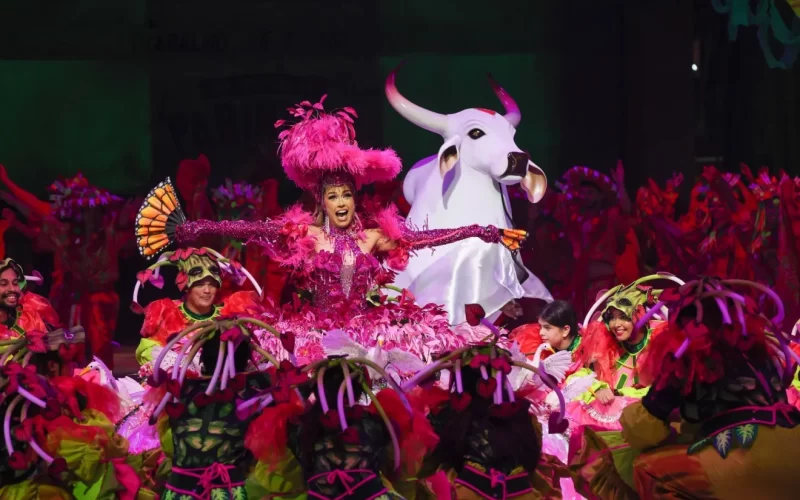 Conheça as possíveis substitutas como sinhazinha do Boi Garantido