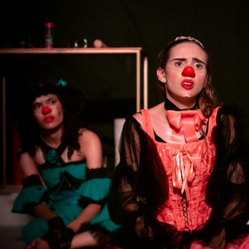 Projeto ‘Gira de Palhaças’ promove imersão artística para mulheres em Manaus