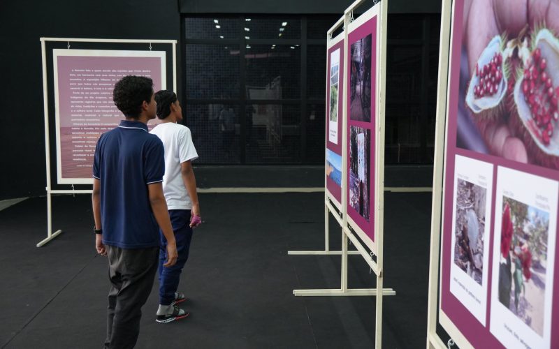 Exposição fotográfica destaca vivências de comunidades ribeirinhas 