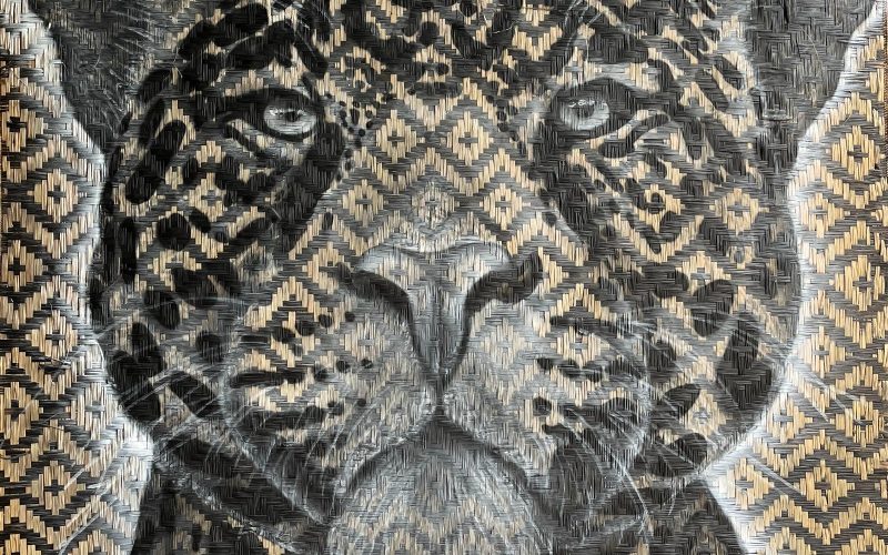 Exposição de “graffitigrafismo amazônico” abre temporada na Galeria de Arte da UFAM