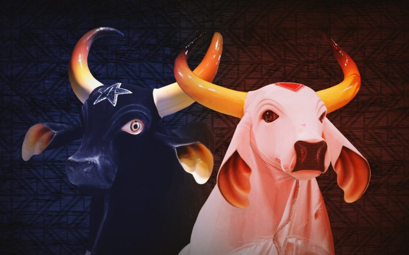 Engajamento e posicionamento marcam a temporada bovina 2025