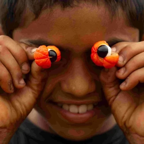 Exposição fotográfica retrata a Rota do Guaraná de Maués